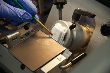 Lighmicroscopy image showing a researcher working on the plate.