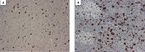 fig4 (1).jpg