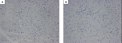 fig6 (1).jpg