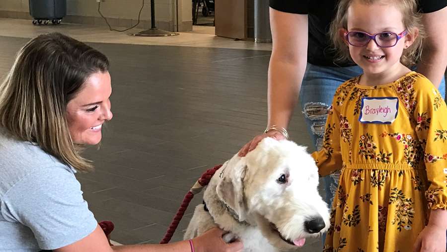 Little girl and her family petting Gus the Therapy Dog