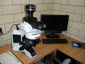 Immunoflourescence Microscope on a desktop.