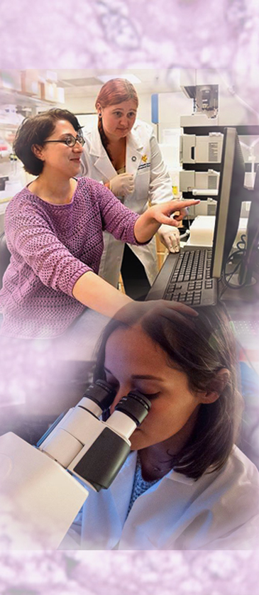 2018 Graduate Recruiting Brochure showing a reacher with a microscope and two others researchers in front of a computer.