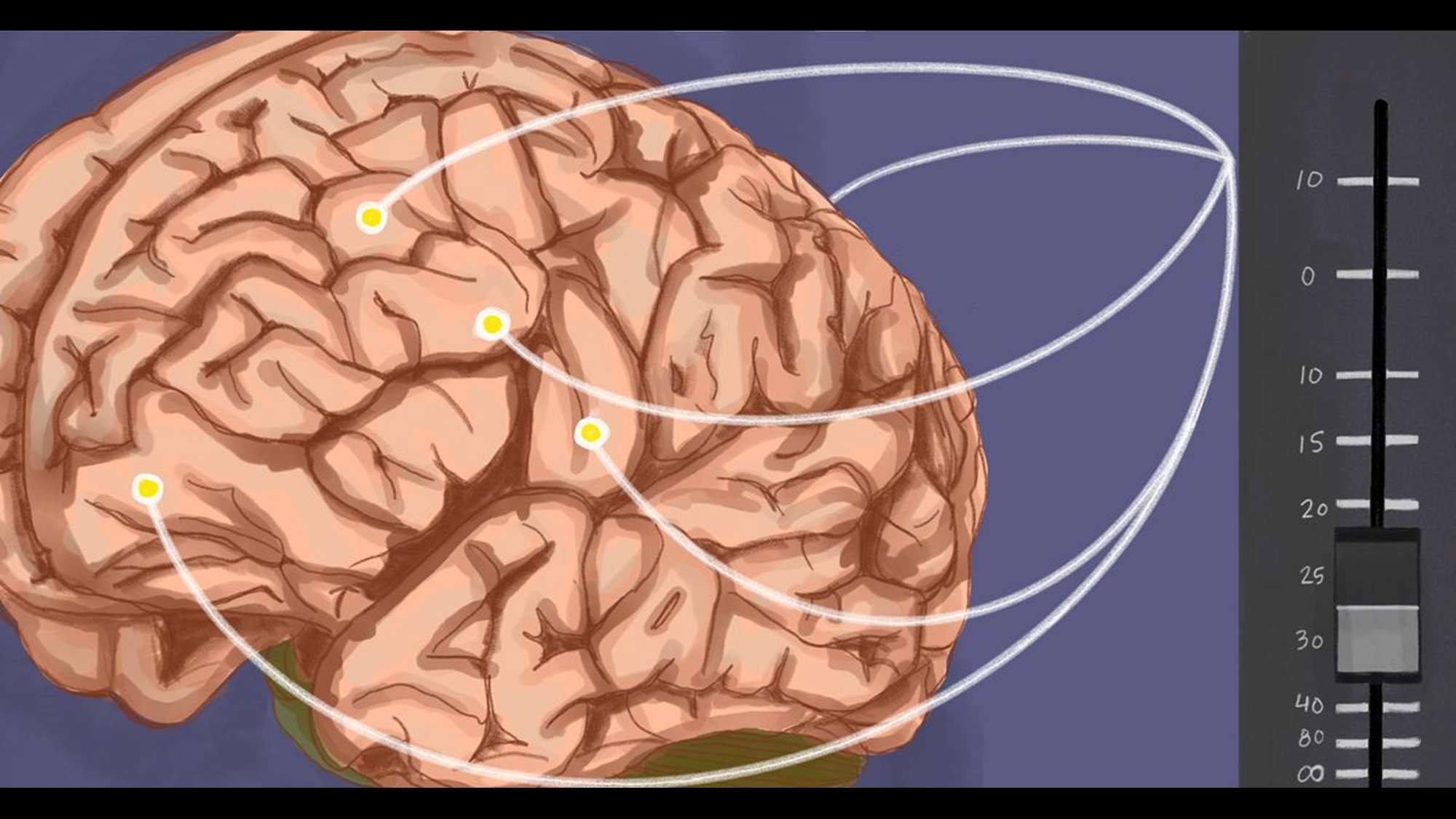 illustration of human brain