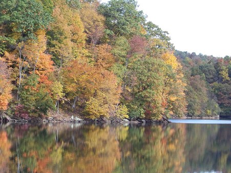Autumn foliage at Cheat Lake