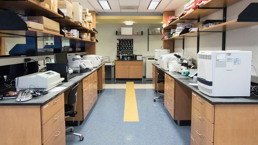 Lab equipment in Erma Byrd Biomedical Research Center