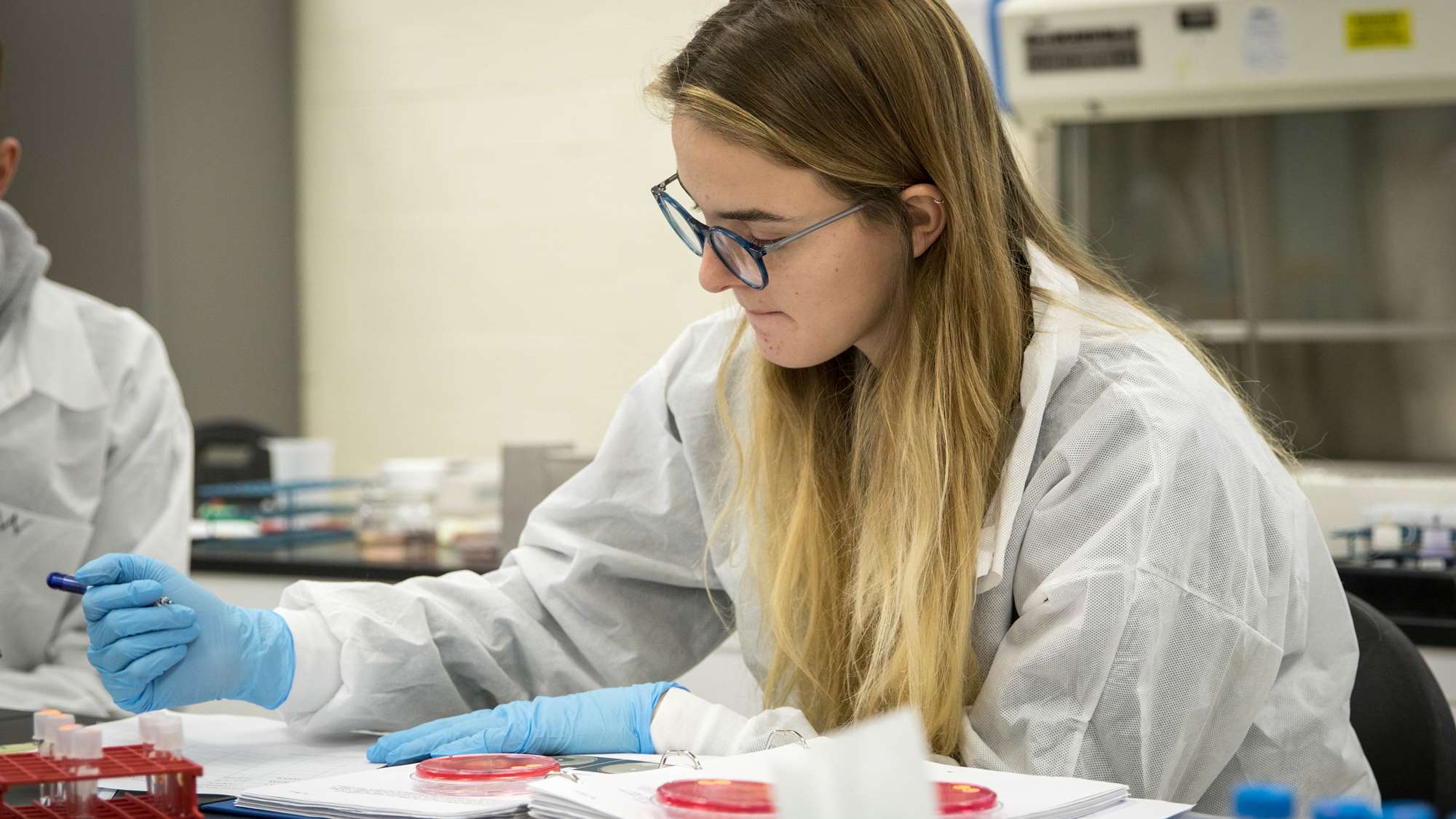Photo of student working in lab