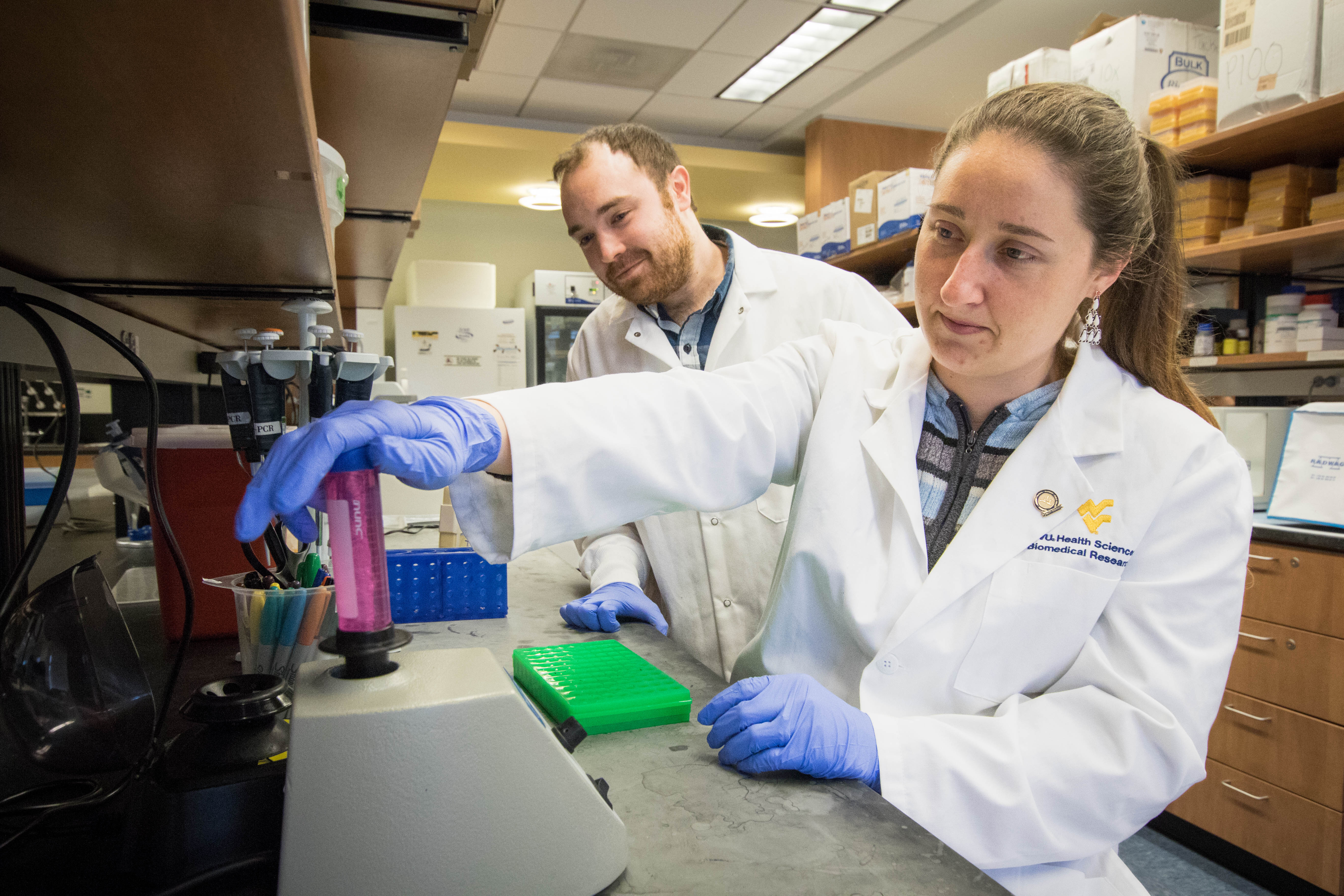 Students working in the lab