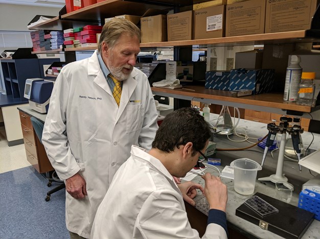 man filling sample well while another man watches