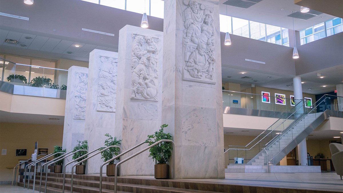 Fall in love with West Virginia University School of Medicine West