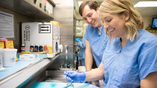 Students in gross lab partner on a project.