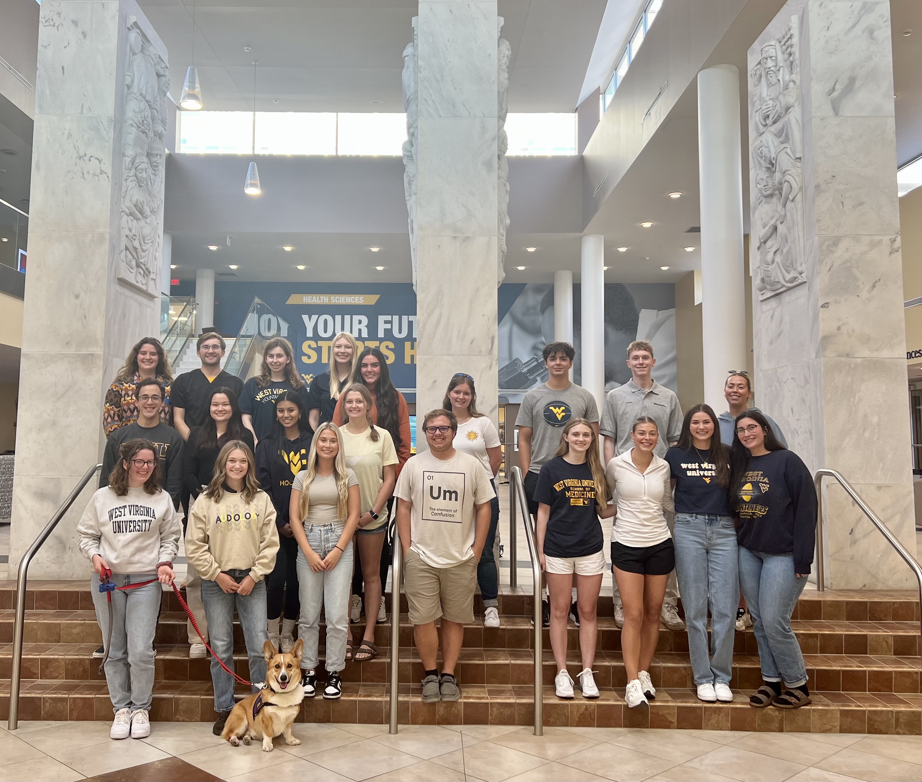 Group of student ambassadors posing on staircase with therapy dog Corgi