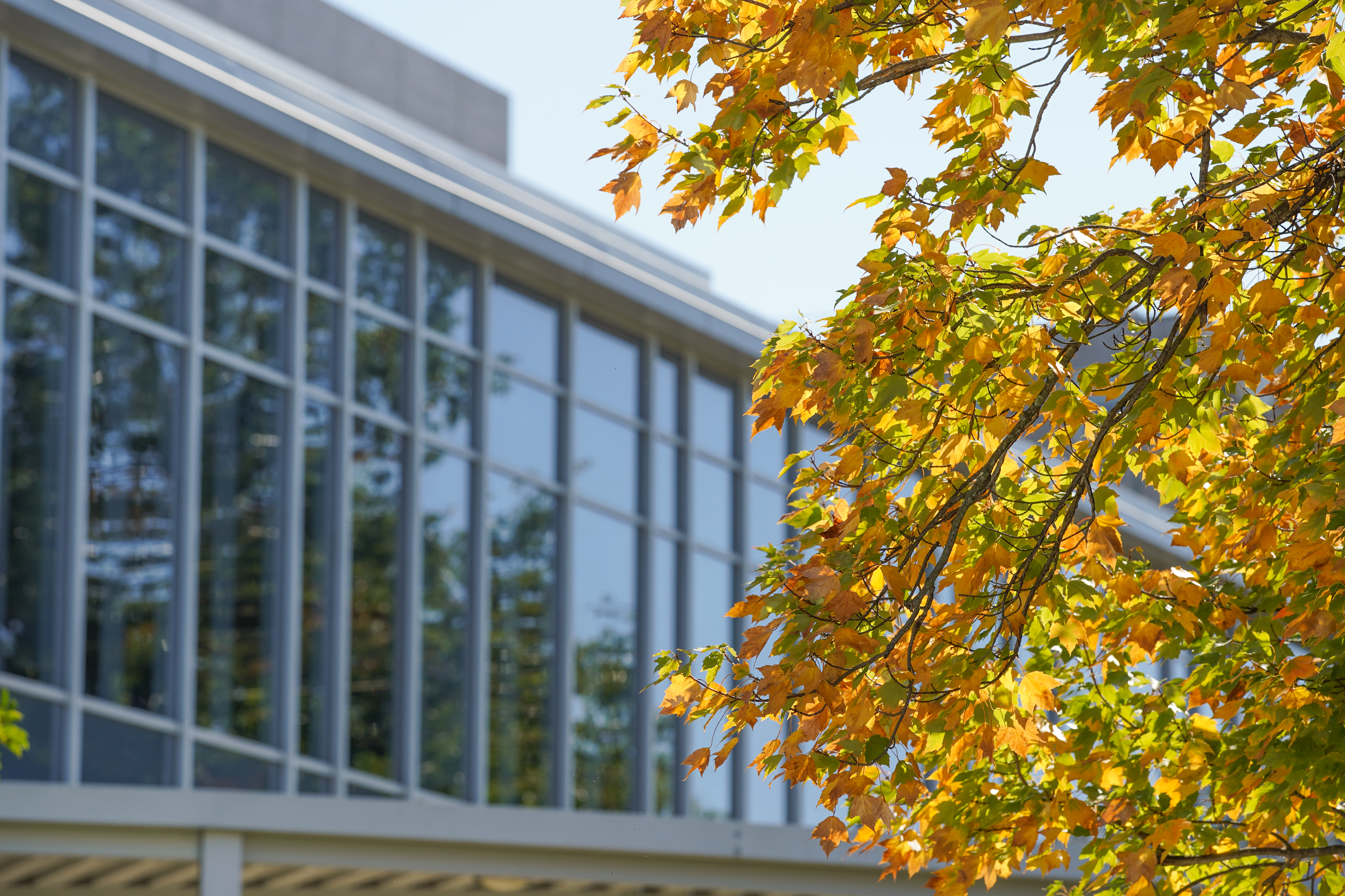 Image of Health Science Center with autumn leaves in foreground