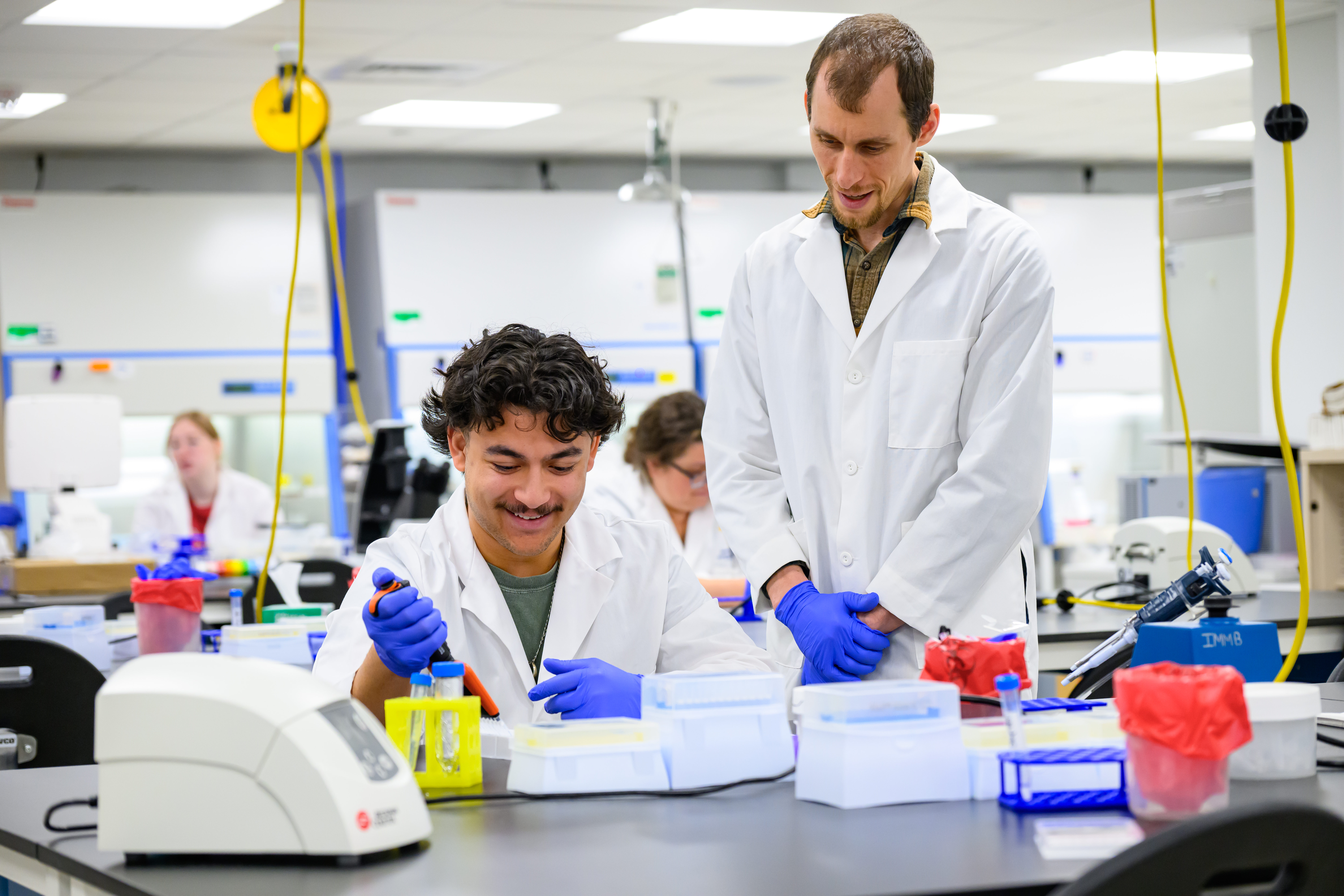 IMMB student and faculty members work in a lab